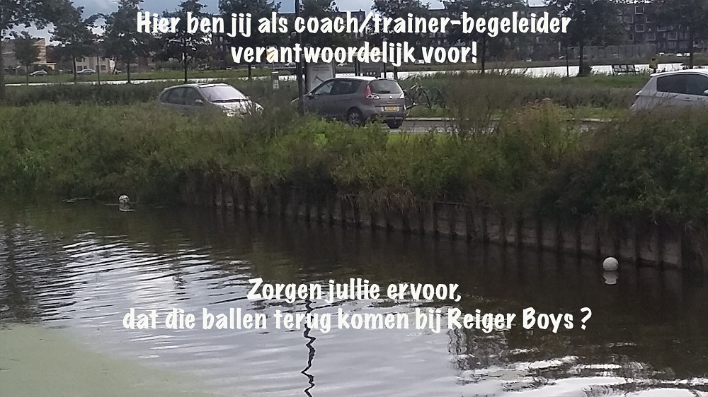 ballen zoek