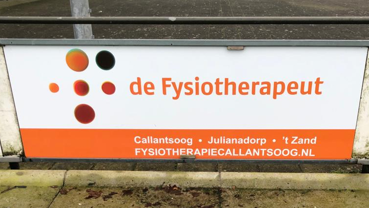 de fysioterapeut