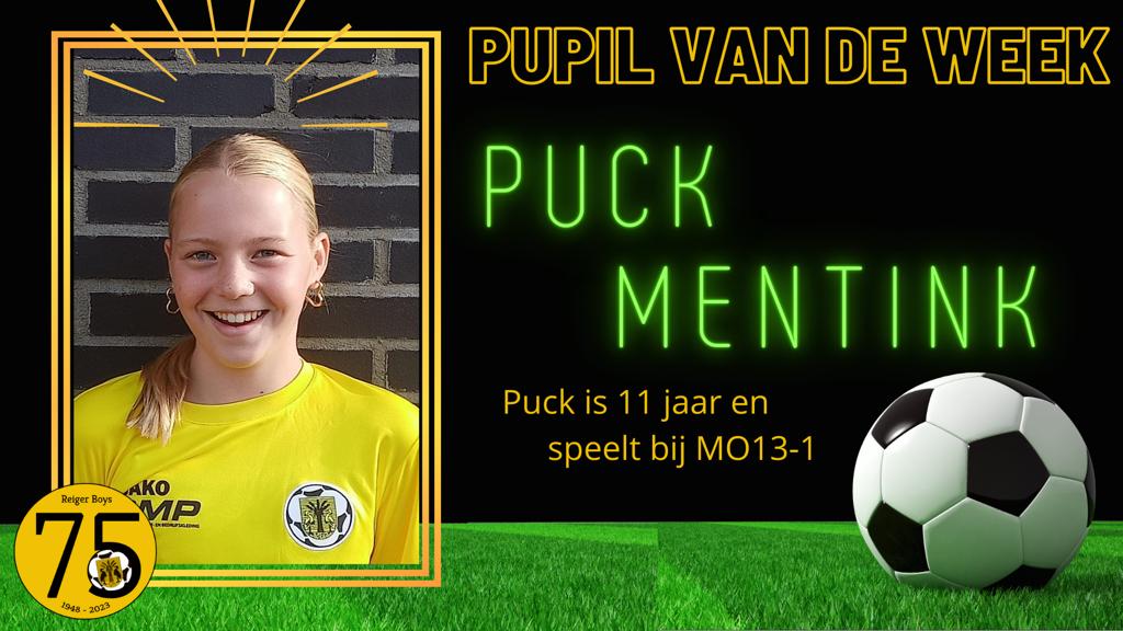 Puck Mentink PVDW