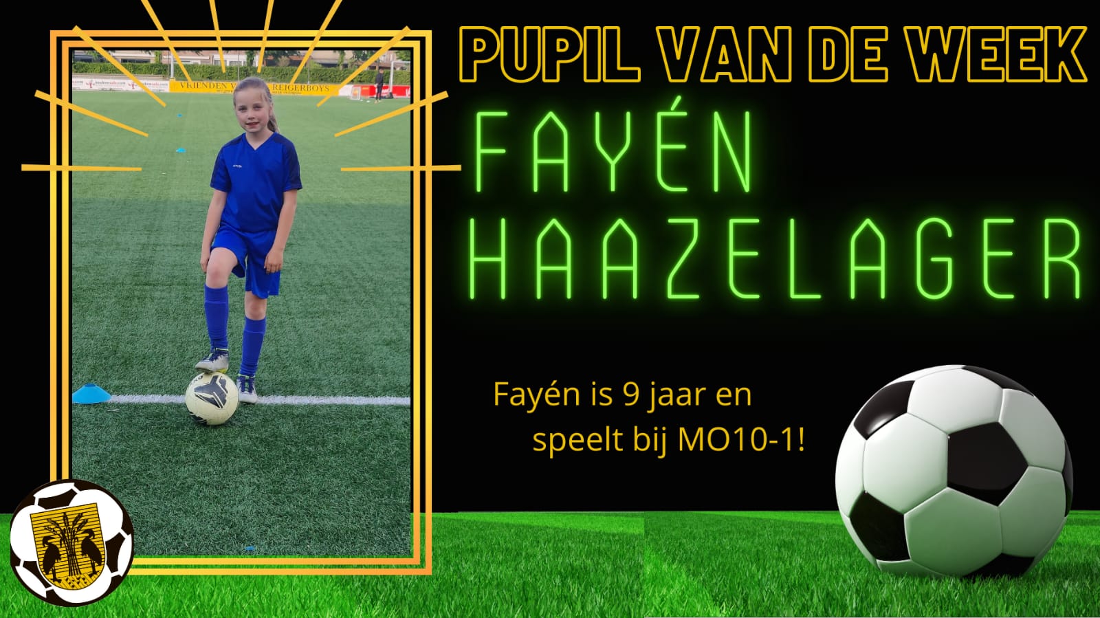 Fayen Haazelager pvdw