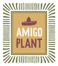 Logo_Amigoplantwit_nieuw.jpg